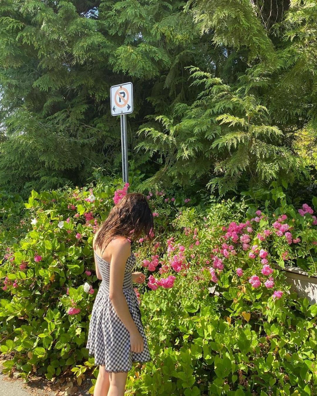 Ecstasy Stays Mukteshwar Ngoại thất bức ảnh