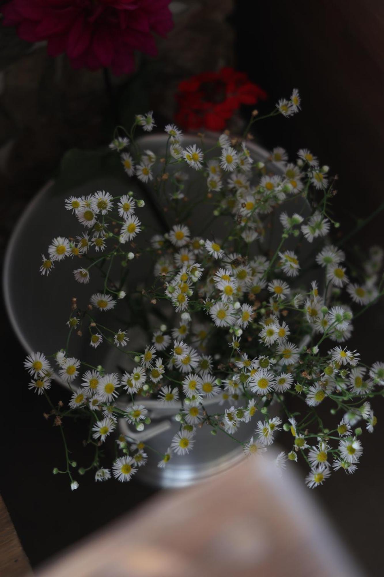 Ecstasy Stays Mukteshwar Ngoại thất bức ảnh